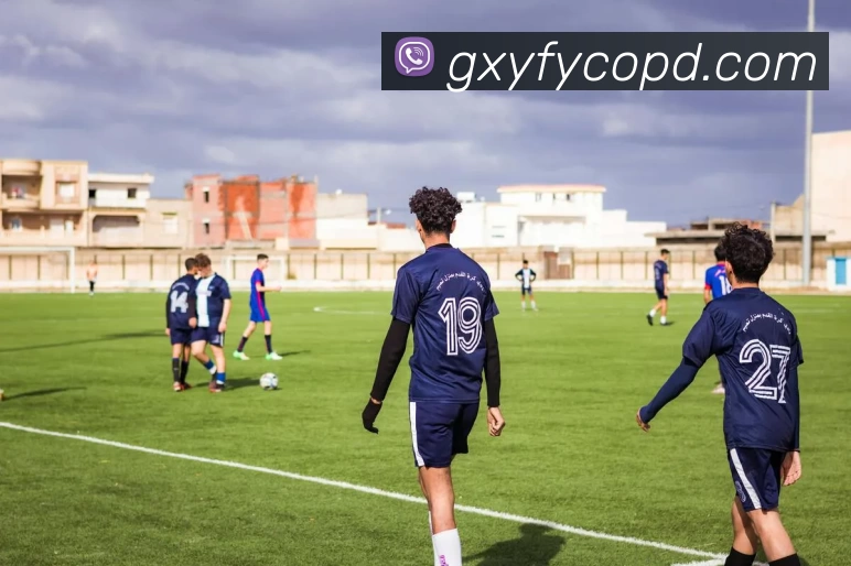 开云app登录入口 - 开云(中国)APP 封面图